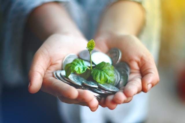 Plant and Money